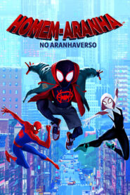 Homem-Aranha: No Aranhaverso