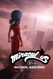 Miraculous World: Nova Iorque, Heróis Unidos